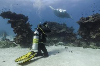 Lady Elliot Island Eco Resort Εξωτερικό φωτογραφία