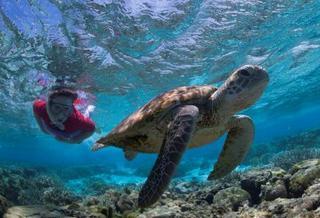 Lady Elliot Island Eco Resort Εξωτερικό φωτογραφία