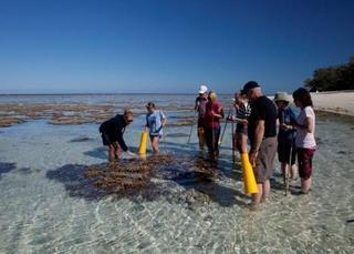 Lady Elliot Island Eco Resort Εξωτερικό φωτογραφία